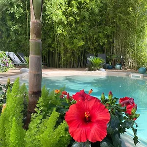 Esprit Jungle Au Coeur De La 2 Ch / Balcon Appartement Tarbes
